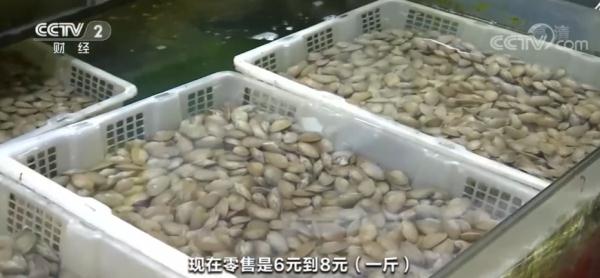 广西南宁：开海后大批海鲜上市 皮皮虾价格大跌