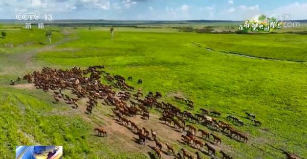 在希望的田野上 | 初秋的乡间田野 到处生机勃勃