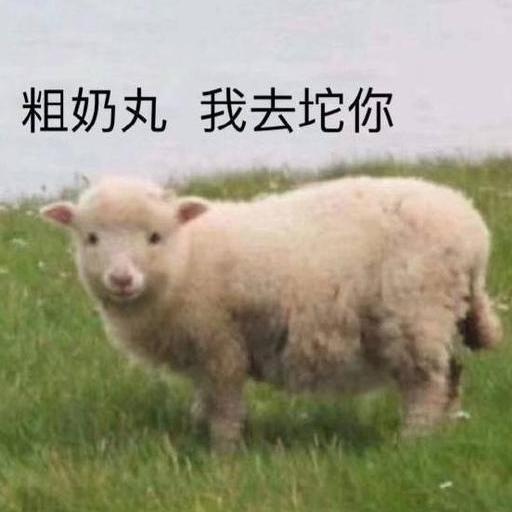 “新国标红绿灯”引热议：2017年已实施 “取消倒计时”系误读
