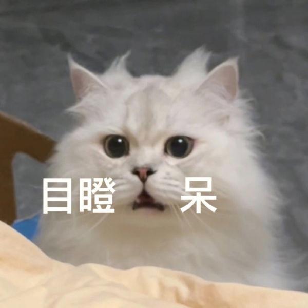 “新国标红绿灯”引热议：2017年已实施 “取消倒计时”系误读