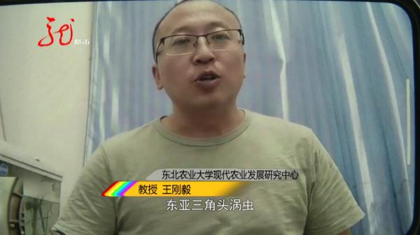 哈尔滨一市民家中到访奇特生物，长相酷似“蘑菇”？身份成谜！