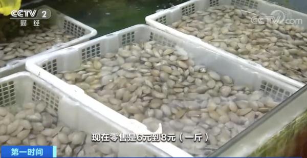 一斤便宜50元！浙江人爱吃的这种海鲜，价格大降