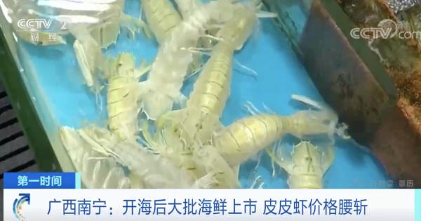 一斤便宜50元！浙江人爱吃的这种海鲜，价格大降