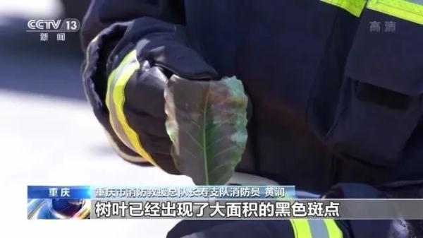 小心！网红降温“神器”竟可能是“煤气罐”，测试现场车辆发生猛烈爆炸