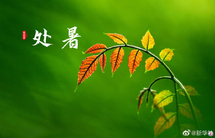 处暑有祭祖迎秋习俗 处暑有祭祖迎秋习俗