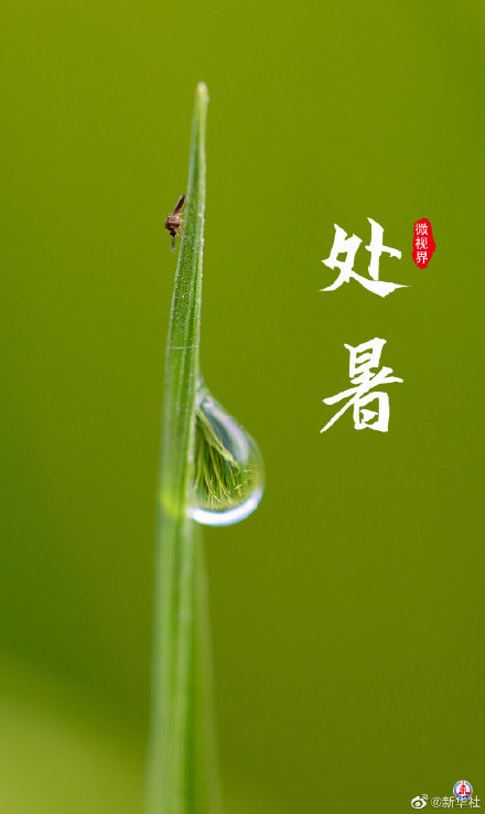 处暑有祭祖迎秋习俗 处暑有祭祖迎秋习俗