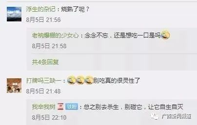千万不要摸！大雨后遍地爬的非洲大蜗牛，1只就藏有上100条虫