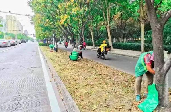 给行道树“输液”？合肥街头出现“抗旱神器”