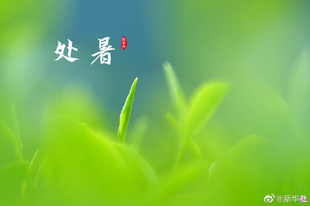 处暑有祭祖迎秋习俗 处暑有祭祖迎秋习俗