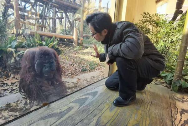“撸大猫”的网红动物园园长，被判了