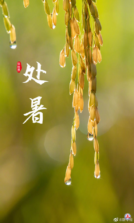 处暑有祭祖迎秋习俗 处暑有祭祖迎秋习俗