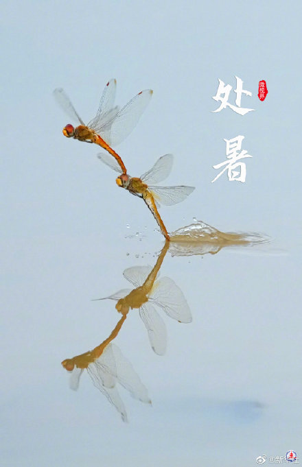 处暑有祭祖迎秋习俗 处暑有祭祖迎秋习俗
