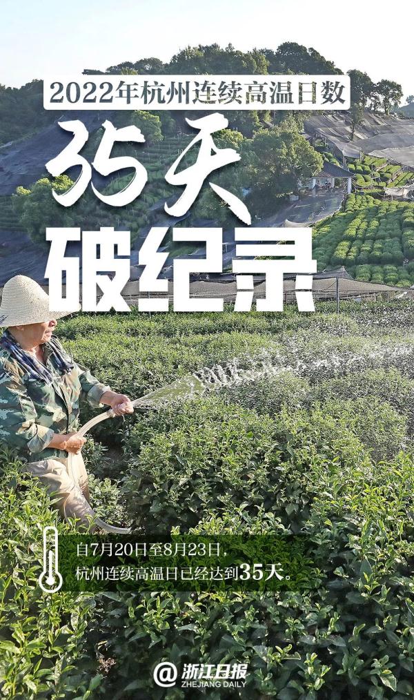 杭州今天又破纪录,明天最高气温直降9℃!会一直凉快了吗? 杭州今天又破纪录,明天最高气温直降9℃!会一直凉快了吗?