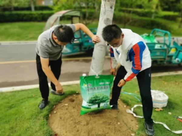给行道树“输液”？合肥街头出现“抗旱神器”