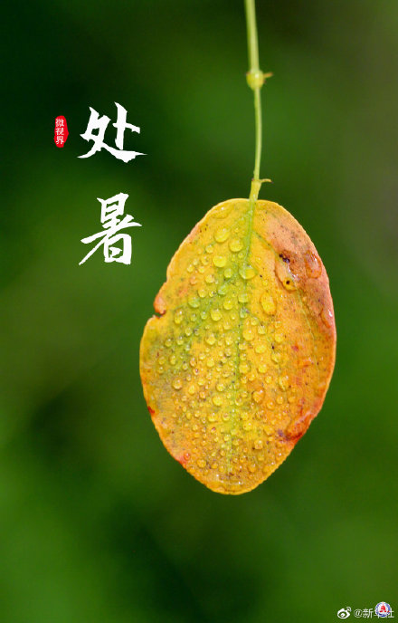 处暑有祭祖迎秋习俗 处暑有祭祖迎秋习俗