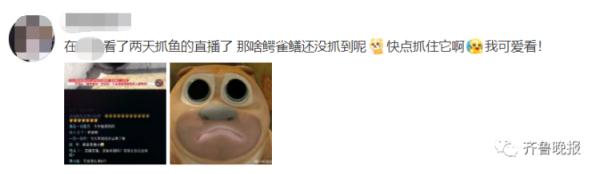 千万网友云“监工”围捕大怪鱼：水抽干了，鱼还没影儿