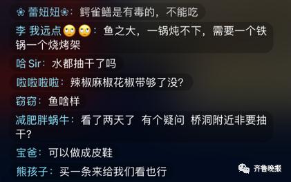 千万网友云“监工”围捕大怪鱼：水抽干了，鱼还没影儿