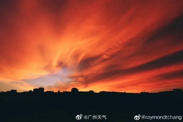 最高或达12级！台风即将杀到，106个预警生效中