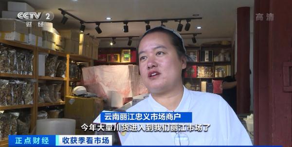 这种野生菌，1公斤1000元了！游客竞相购买！什么这么香？