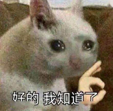 “600号”网红月饼上新！这次能团购到同款？恐怕要让“精神小伙”们失望了