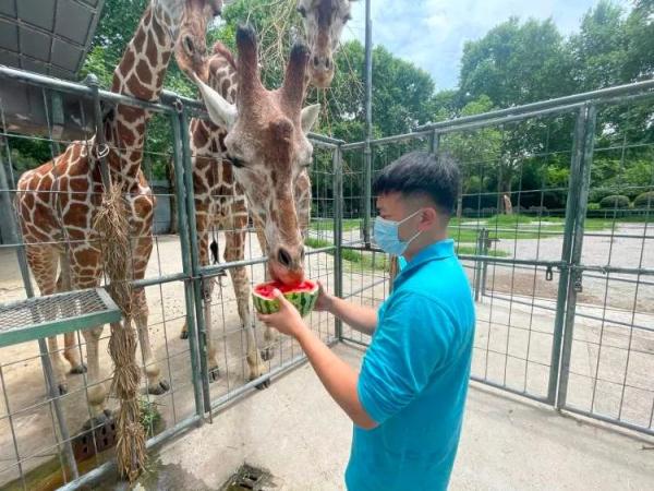 这个夏天，它们实现了“吃瓜自由”！