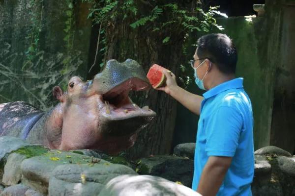 这个夏天，它们实现了“吃瓜自由”！