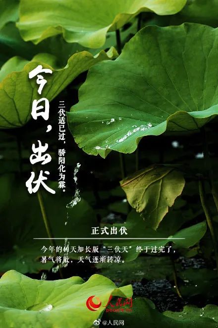 上海出伏降温“愁煞”人：今天该穿啥？有人把羽绒服都翻出来了！