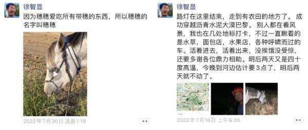 山东小伙从欧洲骑马回老家！预计明年底抵达