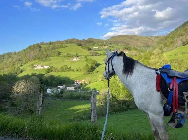 山东小伙从欧洲骑马回老家！预计明年底抵达