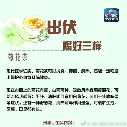 出伏养生指南请查收