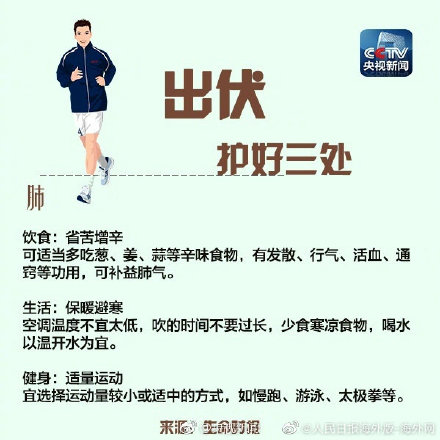 出伏养生指南请查收