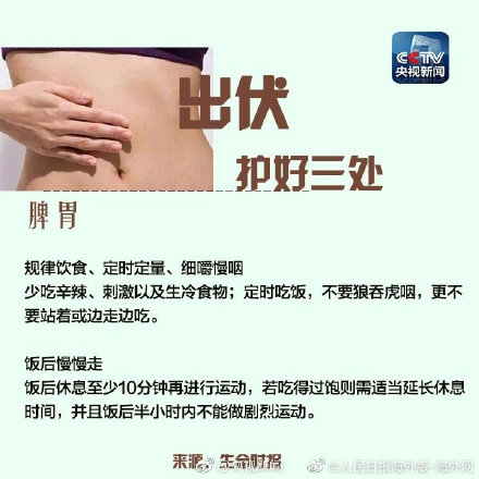 出伏养生指南请查收