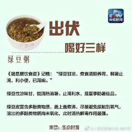 出伏养生指南请查收