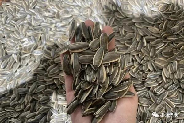 13岁男孩吃半斤瓜子不吐壳肛门被堵，只能用手一点一点“抠出来”