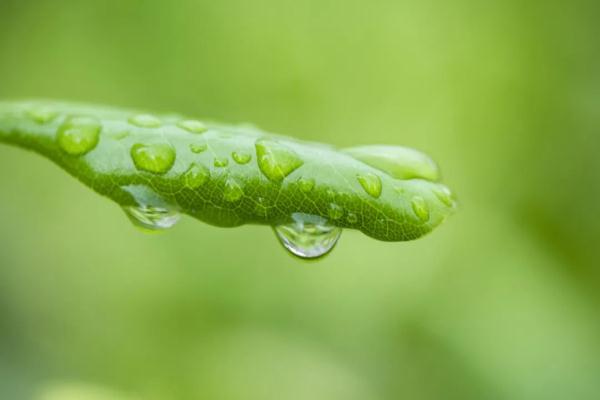 封山控峪、河道水库管控！陕西省紧急通知：全力防范！