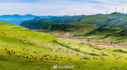 沁源花坡草原入选第一批“红色草原”