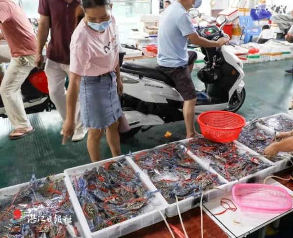 1斤便宜50元，价格大降！广东吃货：真香