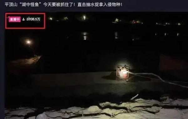 会咬人！千万网友围观抓“怪鱼”，广东曾多次发现