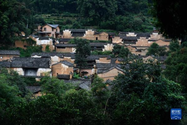 松阳古市老大图片