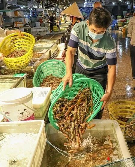 1斤便宜50元，价格大降！广东吃货：真香