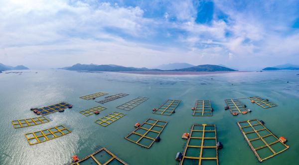 宁德：深耕海上“牧场”，颜值、产值两兼得