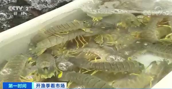 1斤便宜50元，价格大降！广东吃货：真香