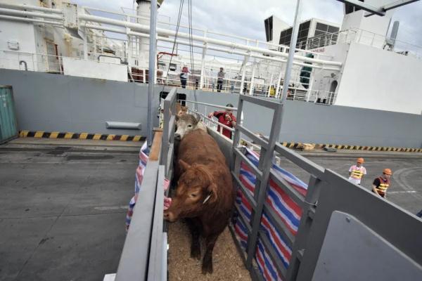 你怎么这么能装？