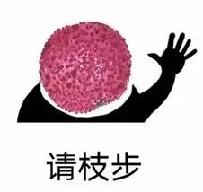世界首个！人气水果出新品种，网友关注点却在"会不会太上火了…"