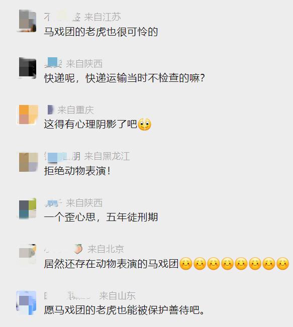 惊悚离奇！快递收到一只死亡小老虎！