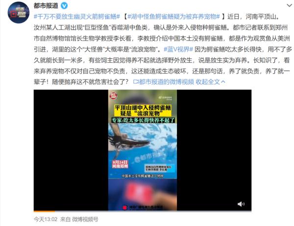 “水怪”抓到了 ！用一个月把湖水抽干，发现不止一条…