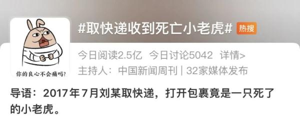 惊悚离奇！快递收到一只死亡小老虎！