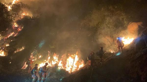 “以火攻火”！云南森林消防增援重庆阻击山火的10个瞬间让人泪目