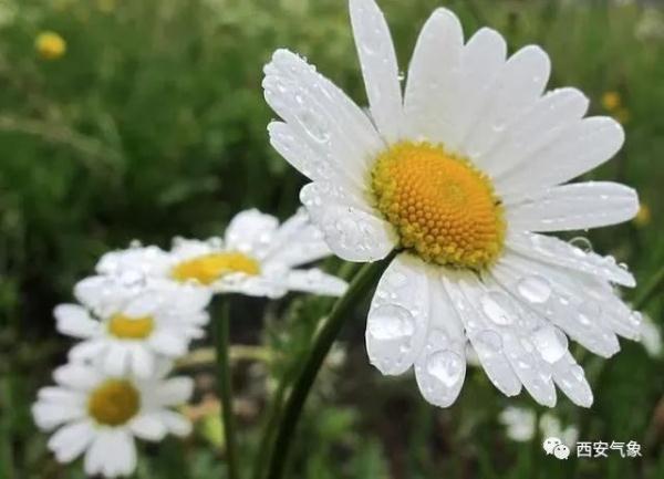 西安：今日气温继续走低  未来三天阴雨天气持续