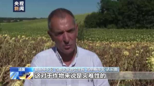 大旱重创粮食收成，欧盟再下调玉米产量预期